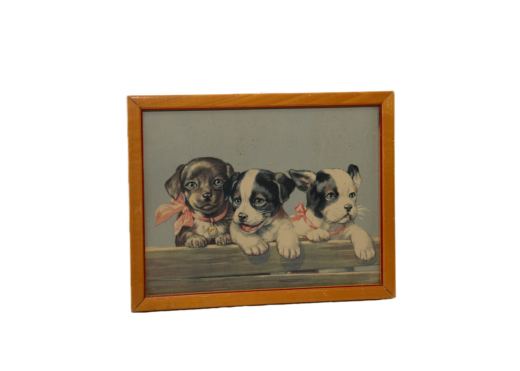 3 Puppies in Picture Frame