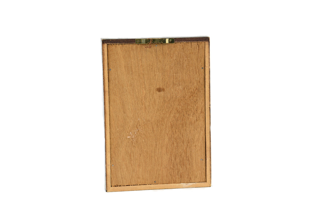 Japanese Long Neck Sanshin In Picture Frame