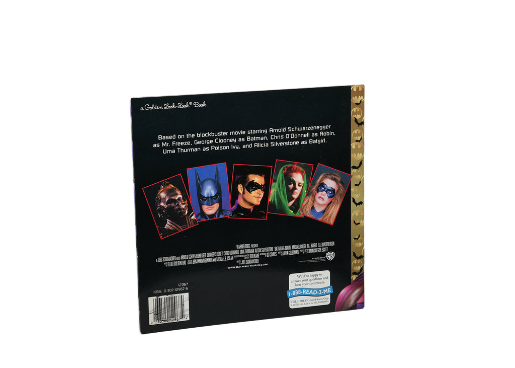 Batman & Robin Heroes & Villains Softback Book 1997 8X8